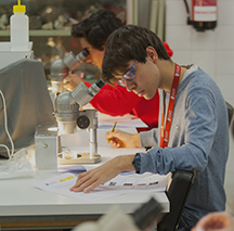 Degree in Biology